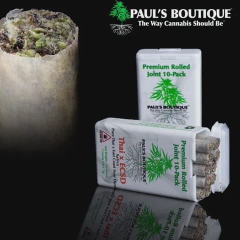 Preroll | 10 pack | Cadillac Rainbow