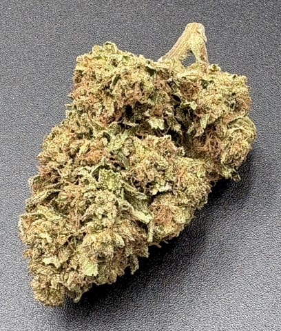 Green Crack (Williams Wonder)