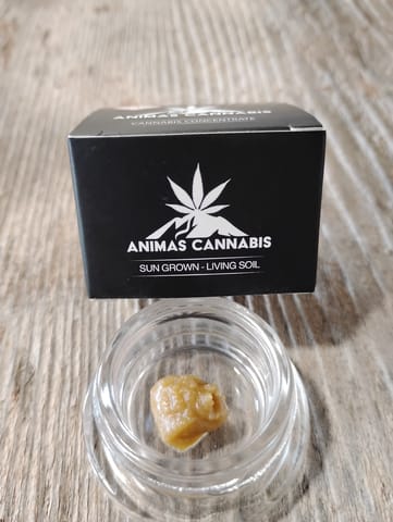 Tropicana Cookies Live Rosin