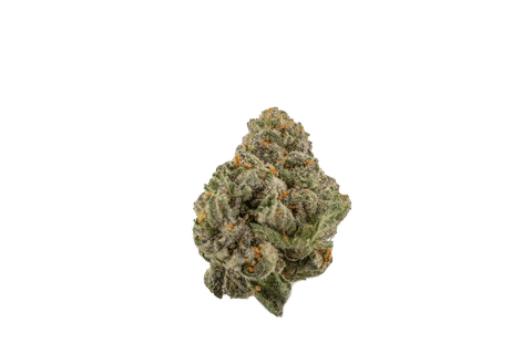 Gelato 41 - LL - 3.5G