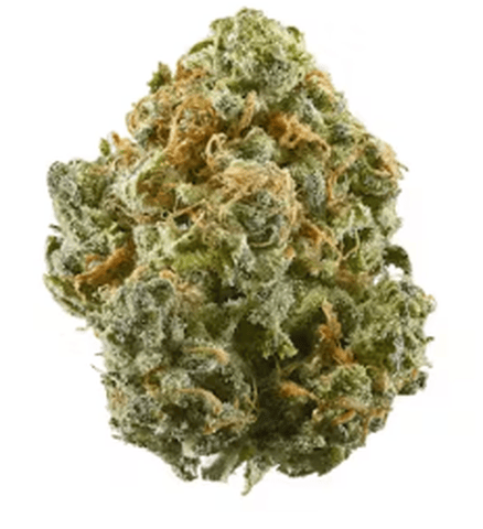 Nuclear Cookies Deli Flower
