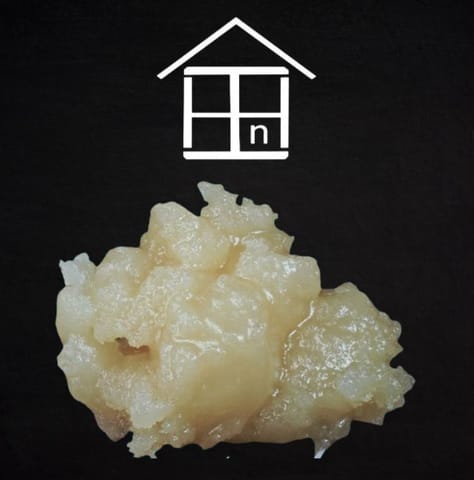 In House - Colada Lime - (H) Live Rosin (1g)