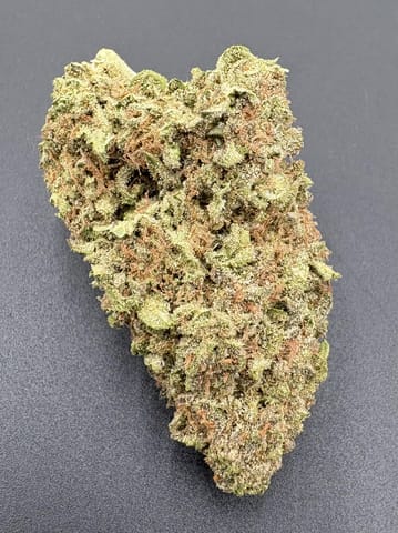 Blueberry Muffin (Williams Wonder)