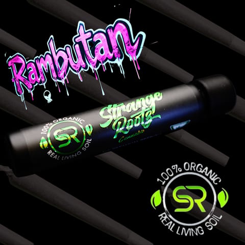 Rambutan (Pre Rolls)
