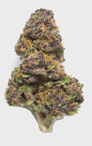 Grape Canyon Zkittlez