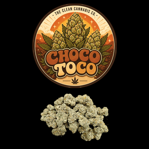Choco Taco Bulk Flower