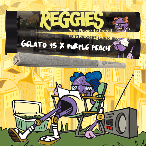 Reggie's 1g Preroll - Gelato 45 x Purple Punch