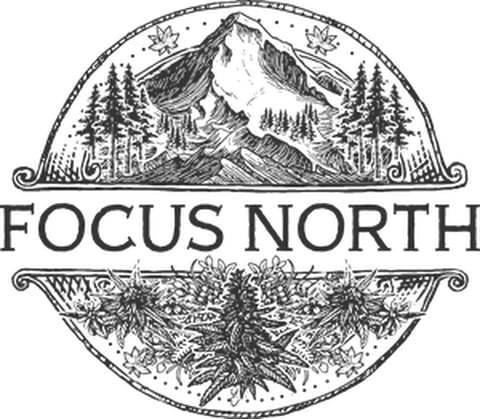 Focus North | Frozen Orbit #2