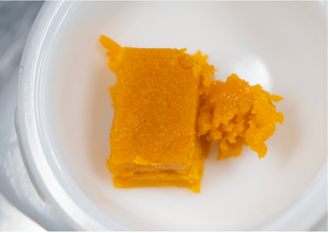 CSC - Gary Payton - 1G Wax