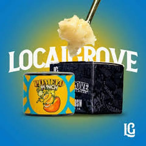 Pomelo Punch 1g Live Hash Rosin | Local Grove