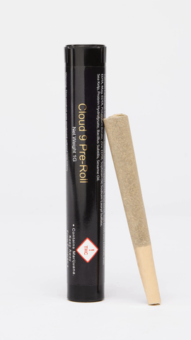 Cloud 9 | Oreo Blizzard | IH | Pre-Roll | 1G