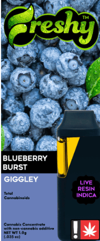 Freshy | Blueberry Burst | 1g | Flavored Live Resin | Disposable