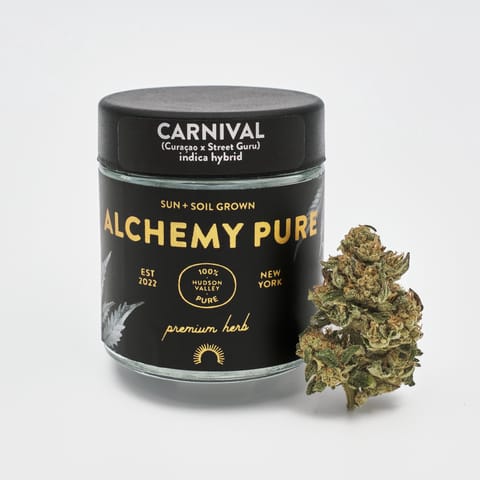 Alchemy Pure - Flower 3.5g - Carnival