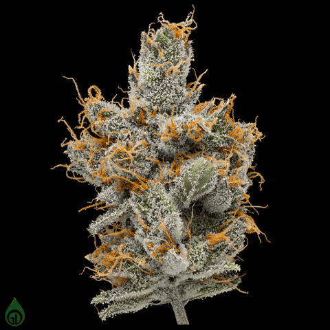 Eighths | Green Dot - | Lemon Butter Rum
