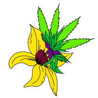 Blooming Buds's store logo.