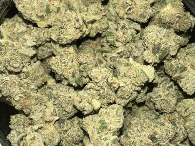 Fried-Day ($75 Platinum Ounces OTD)
