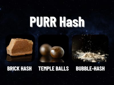 20% OFF - Purr 1g Hash