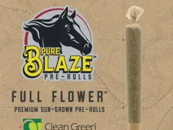 5 for $12 Pure Blaze Joints