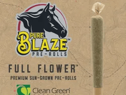 28 Pure Blaze Joints for $60