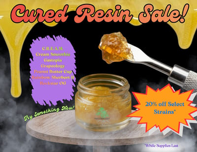 Cured Resin | Flash Sale 20%