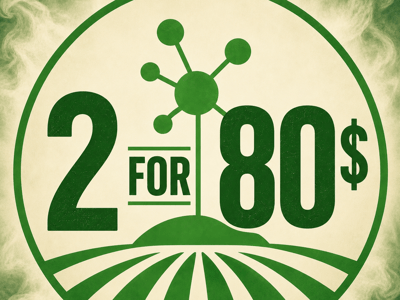 Buy 2 for 80