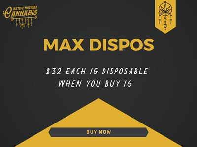 Max Dispos
