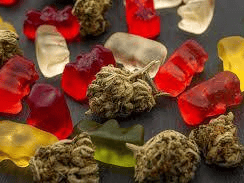 Weed Wednesdays