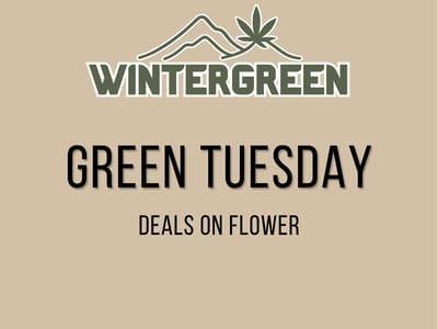 Daily Green Tuesday 10%