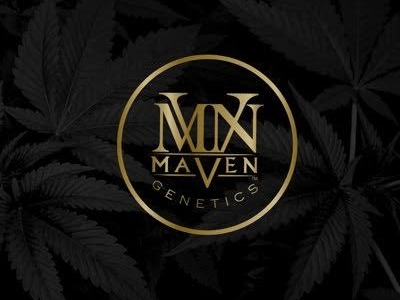 Up to 40% off - Maven
