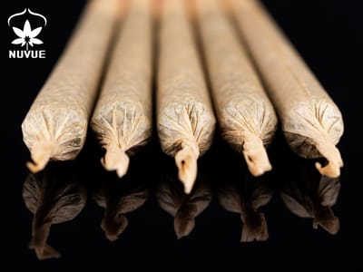 15% off 1.2g Full Bud In-House PreRolls