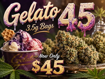 3.5 Bag Gelato 45 STEALIO