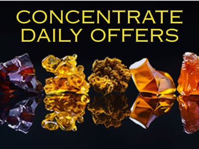 Daily Concentrate Offers