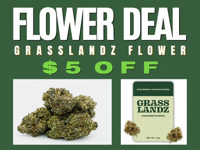 Blueberry Muffin Flower - $5 OFF