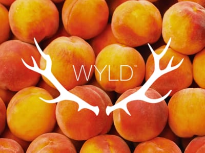 Wyld Wednesdays - Wyld/Good Tide 30% OFF