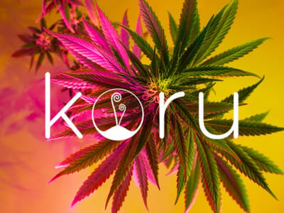 Koru - 1g Prerolls 60% Off