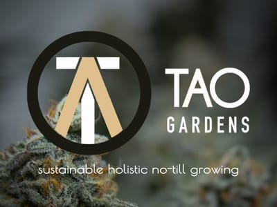 Tao Gardens 20% Off