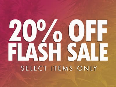 Flash 20% Off