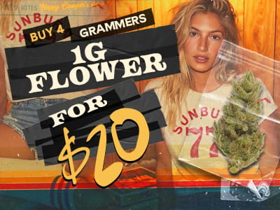 Grammers: 4 For $20