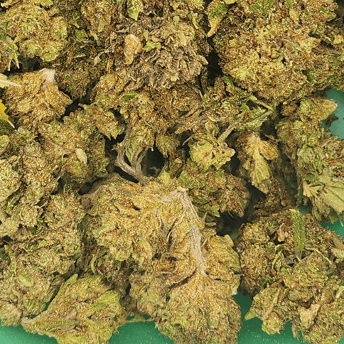 GreenCo | Cereal Milk | Hybrid | 28g | Flower