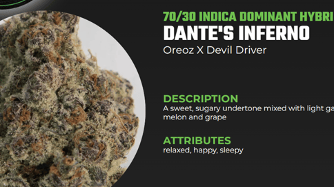 Dante's Inferno Flower Backcountry Botanicals