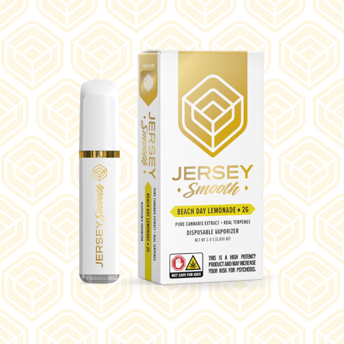 Beach Day Lemonade Disposable (1g)