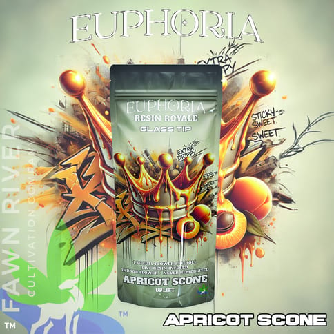 EUPHORIA RESIN ROYALE - APRICOT SCONE