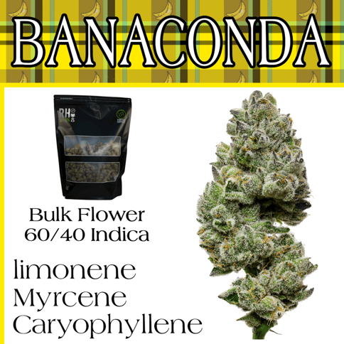 Bananaconda