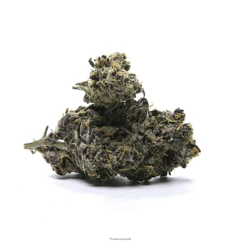 Noble Trees - West Coast Chill - smalls - 3.5g