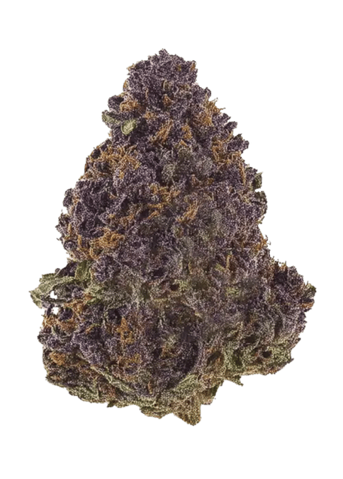 Limon Cake - Flower - High Grade