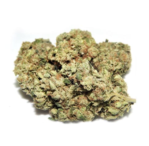 Sour Al Flower - 1/4