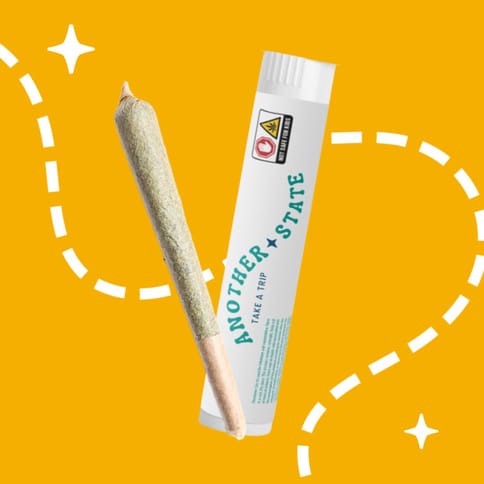 Pina Colato - Pre-Roll (1.0g)