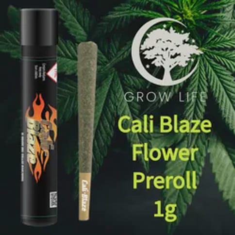 Cali Blaze Pre-Roll Purple Romulan 1g (REC)