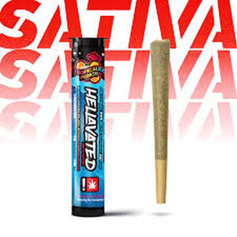 Tropicalez Punch Infused Preroll (Hellavated)