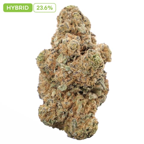 Mac Stomper 4g